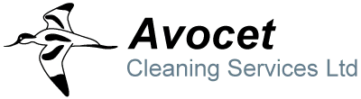 Avocet Cleaning